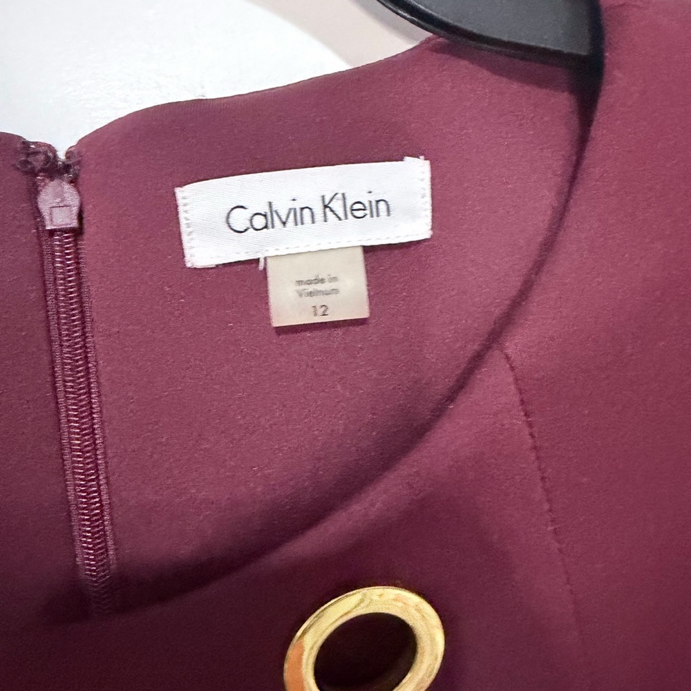 Calvin Klein Burgundy Sheath Dress with Gold Eyelets - Picture 3 of 5